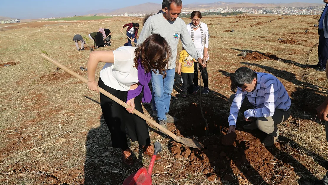 Her İnsan Bir Fidan Sloganıyla Meyve Fidanı Dikildi