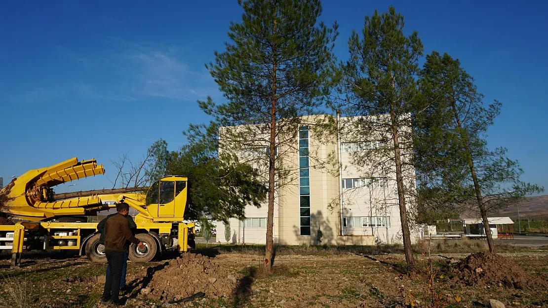 Siirt Üniversitesi Suyun Yutacağı Ağaçları Kurtarıyor