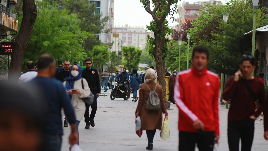 Siirtliler Koronavirüsten Korkmuyor