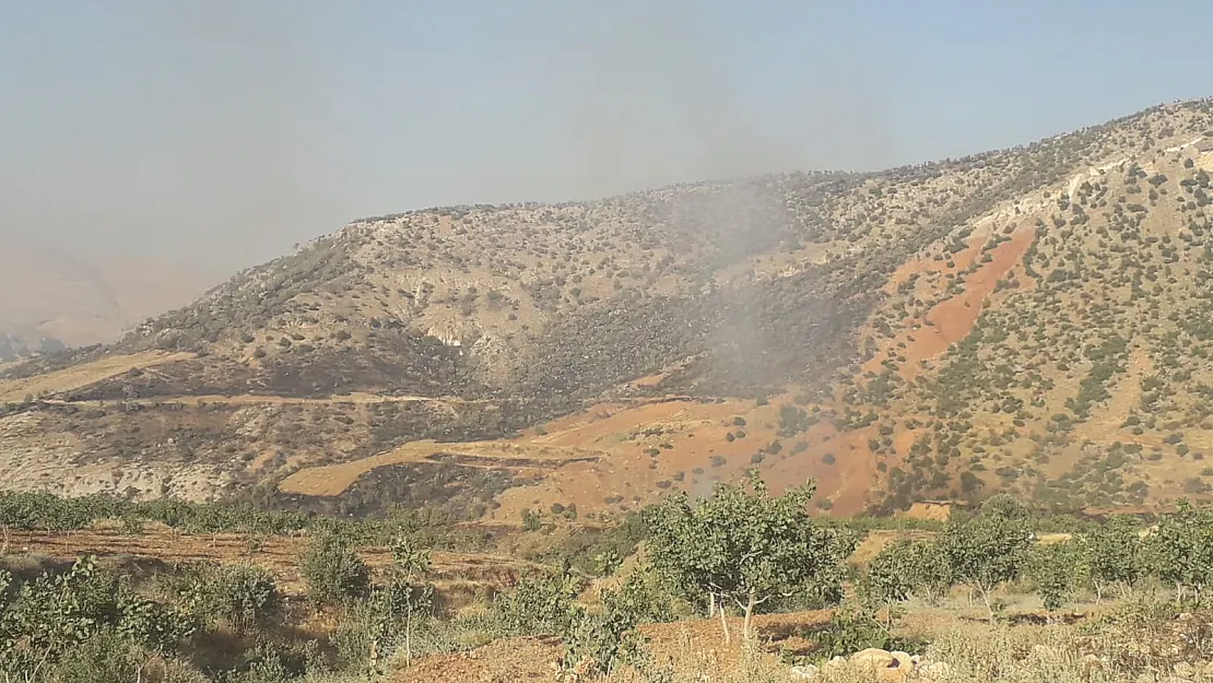 Siirt'te Fıstık Bağlarında Büyük Yangın