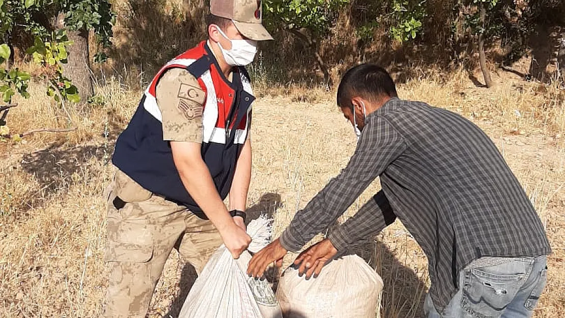 Siirt'te Yeşil Altın Hırsızları Yakalandı