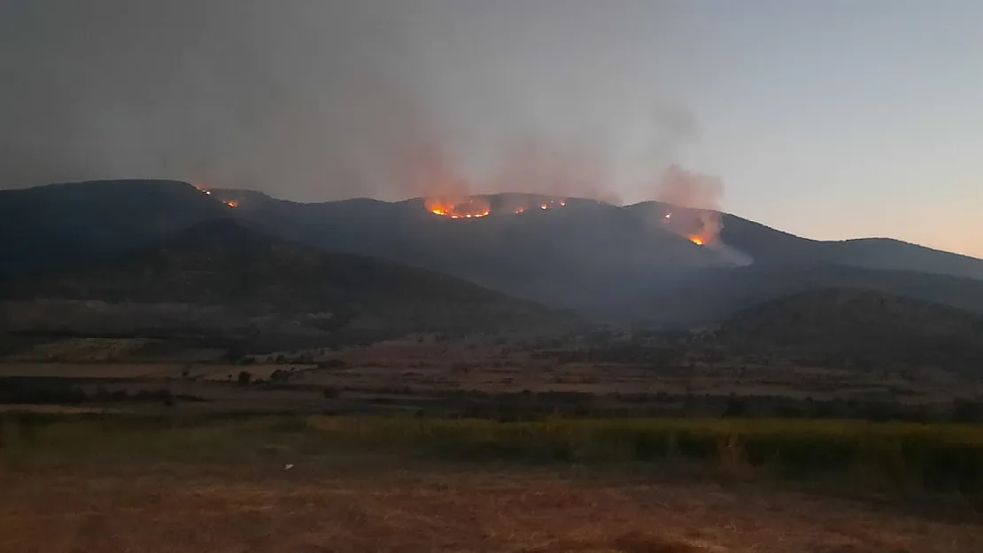 Siirt'te Çıkan Orman Yangını 2 Gündür Söndürülemedi! Takviye Ekipler Neden Gelmiyor?