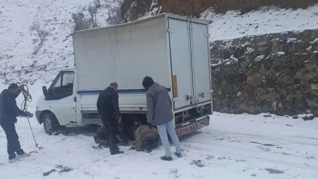 Siirt'te Karda Mahsur Kalan Araç Vatandaşların Yardımıyla Kurtarıldı