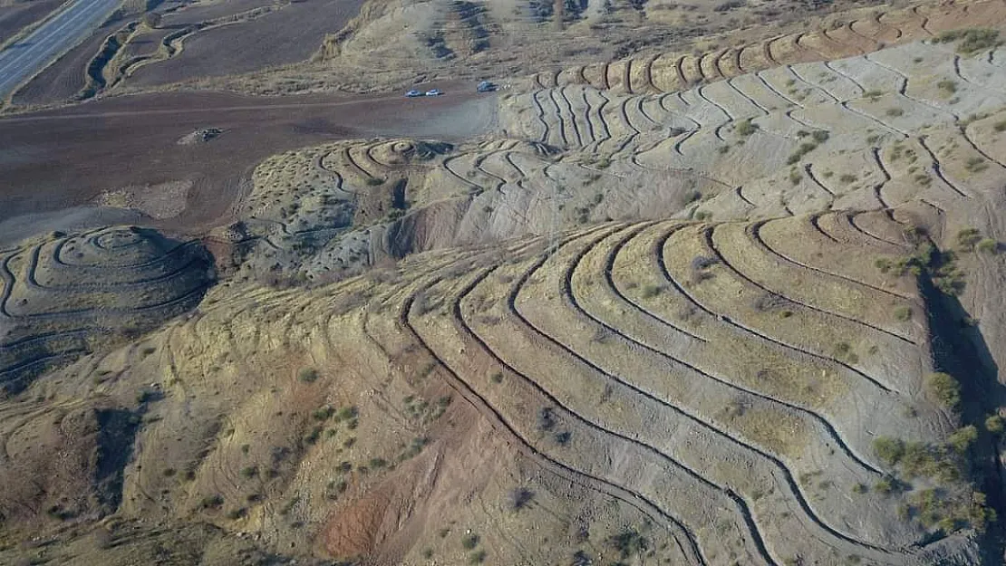 Siirt'te 'sanat eseri titizliğinde' bal ormanı oluşturuldu