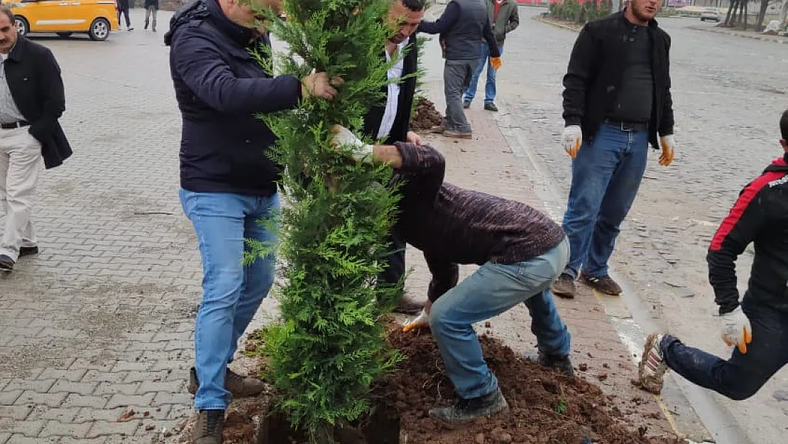 Veysel Karani Beldesinin Çehresi Değişiyor