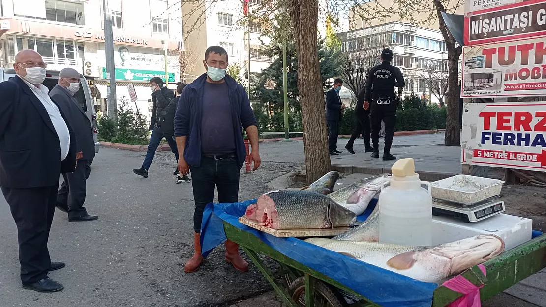 Siirt Botan Çayı'nda Dev Balıklar Yakalandı, Görenler Şaşkına Döndü