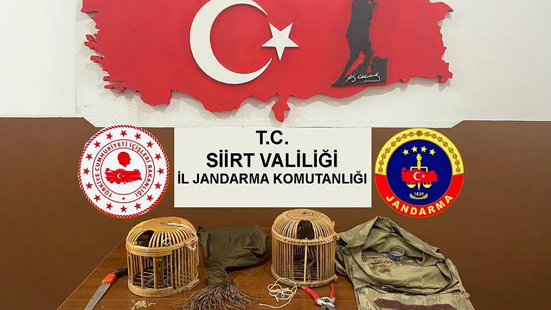 Siirt'te Kaçak Avcılara Ceza Kesilmeye Devam Ediyor