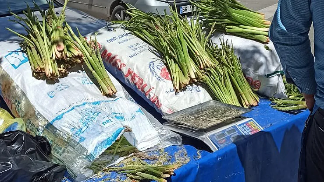 Şifa kaynağı 'yayla muzu' tezgâhlardaki yerini aldı