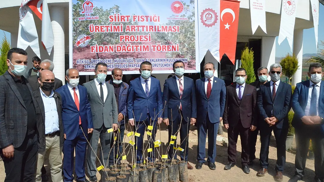 Siirt'te 101 Bin Adet Tüplü Bıttım Fidanı Dağıtıldı