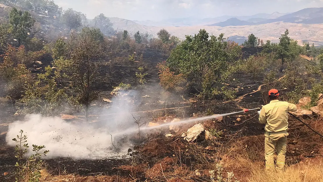 Son Dakika: 217 yangın kontrol altına alındı, 2 ildeki 6 noktada alevlerle mücadele sürdürülüyor