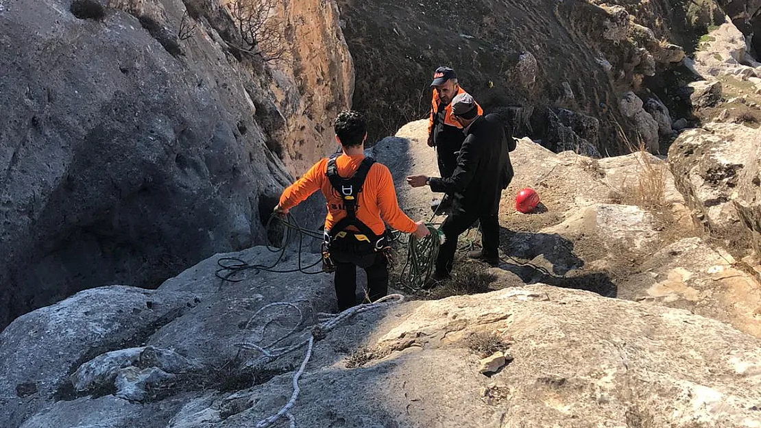 Siirt'te Kayalıklarda 4 Gündür Mahsur Kalan Keçiler Kurtarıldı