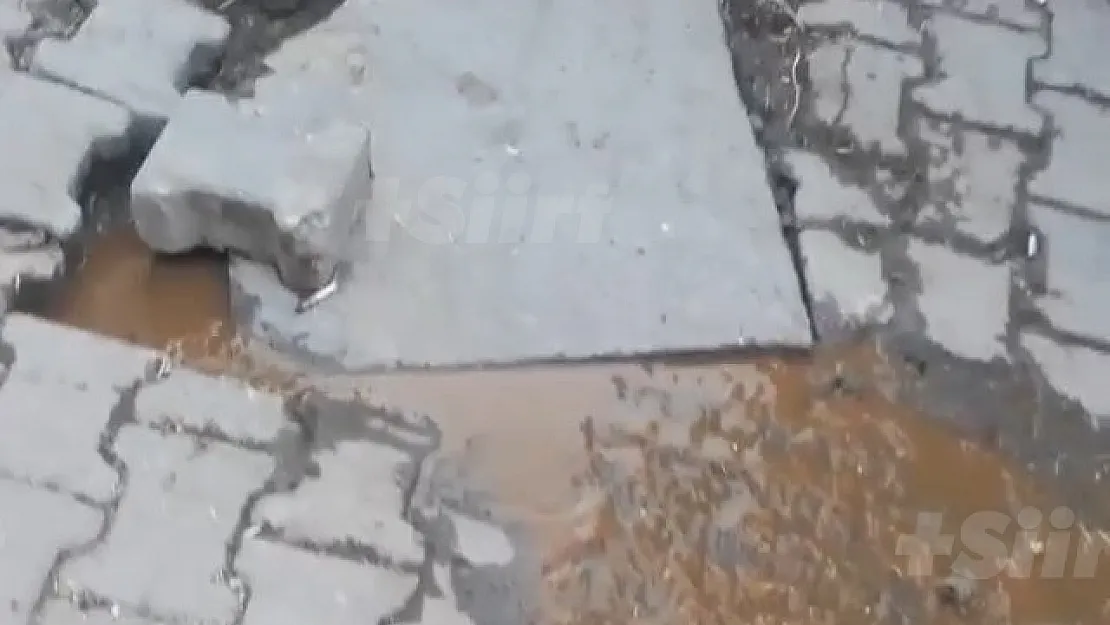 Siirt'teki O Mahallenin Sorunu Neden Çözülmüyor?