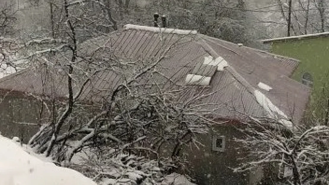 Siirt'te Mart Kapıdan Baktırdı