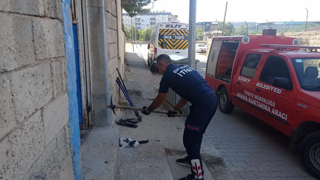 Yavru kedi su giderine sıkıştı! Siirt itfaiyesi kurtardı