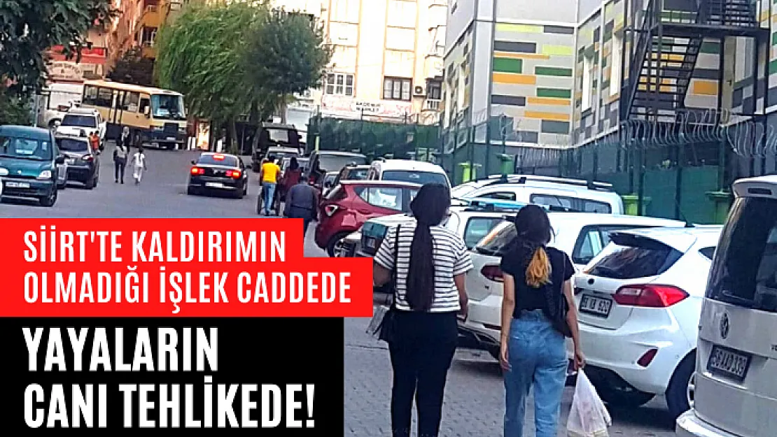 Siirt'te Kaldırımın Olmadığı İşlek Caddede Yayaların Canı Tehlikede!