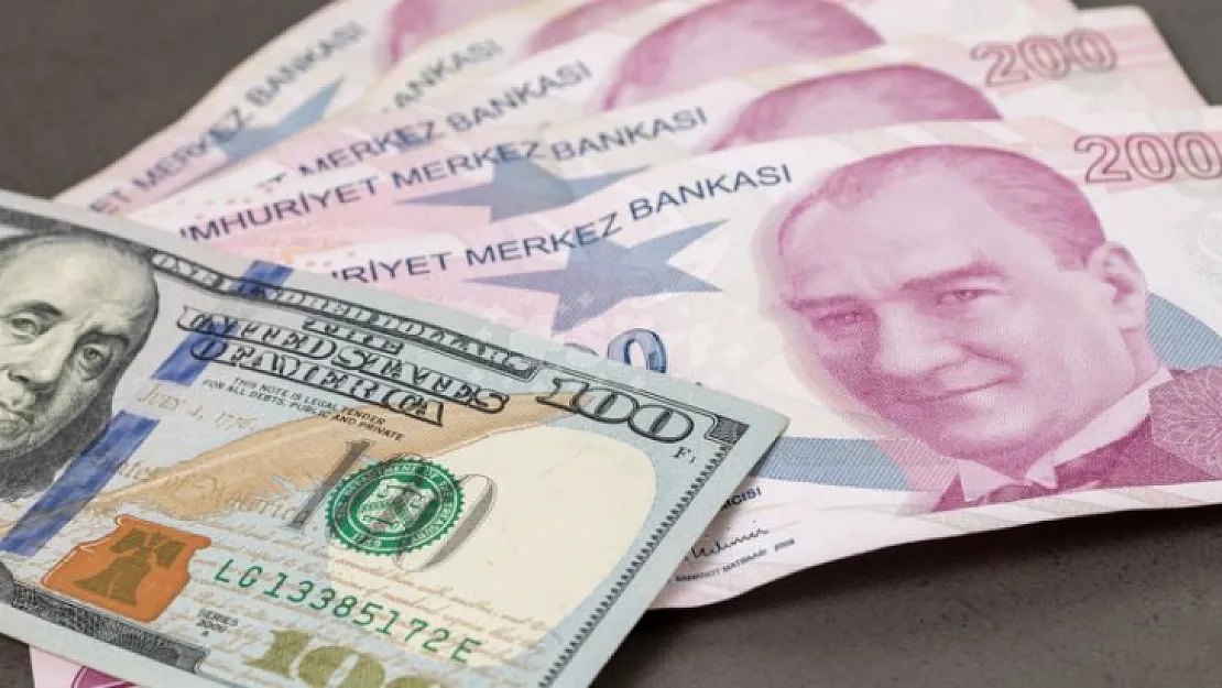 Yeni Zamlanan Asgari Ücret 60 Dolar Eksildi