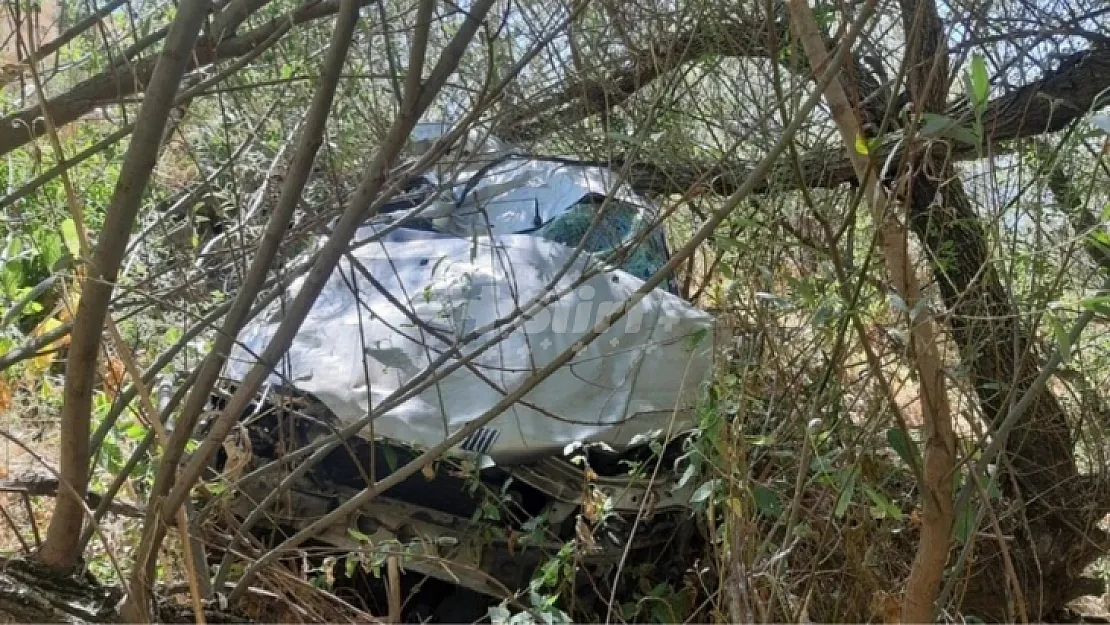 Yola atlayan başıboş köpek kazaya neden oldu: 4 ölü, 3 yaralı