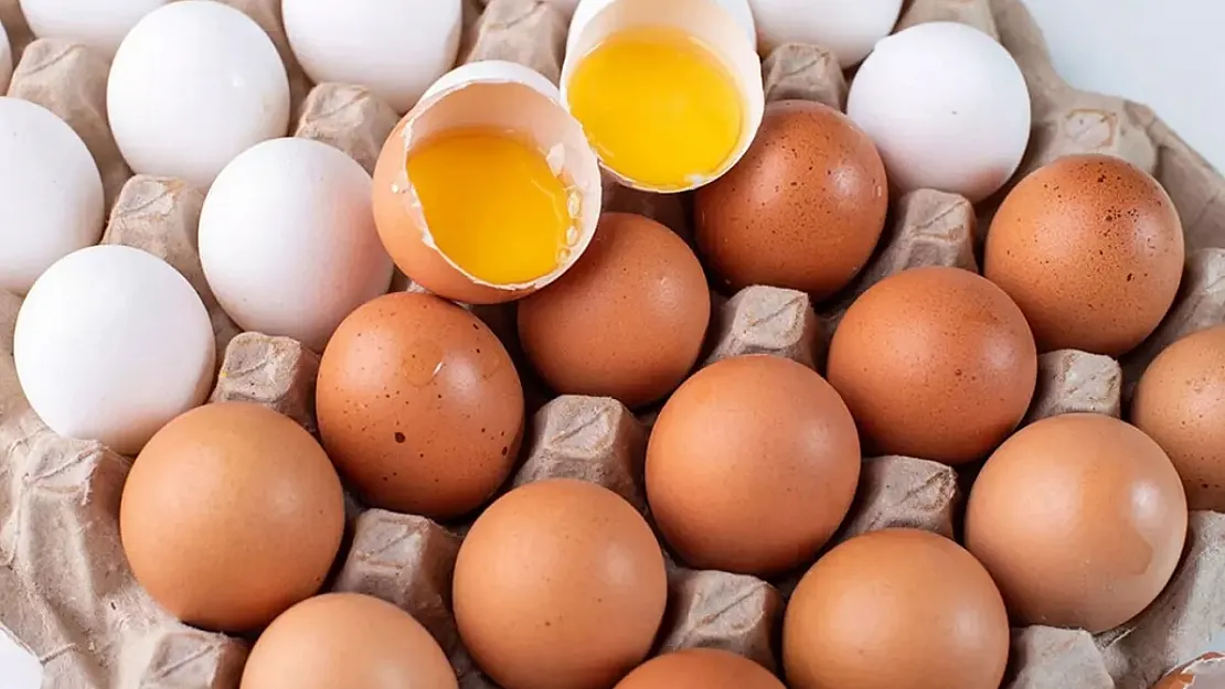 Yumurtalarda yeni dönem: Artık bu şekilde satılacak