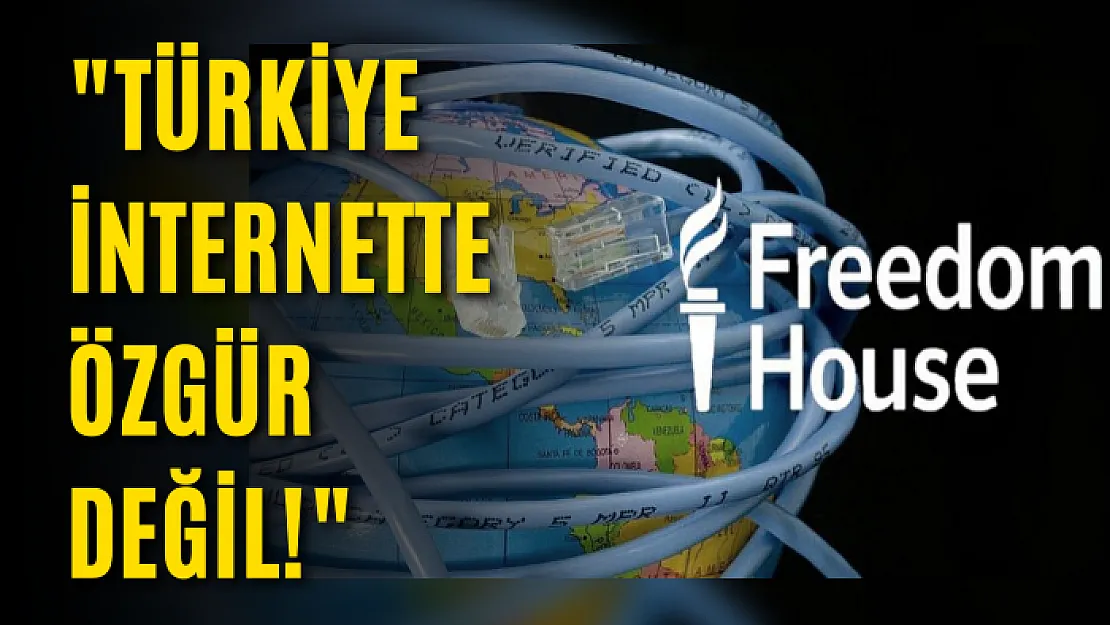 'Türkiye internette özgür değil!'