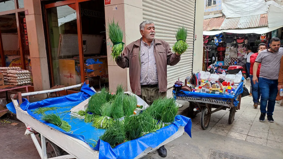 Zamlar Peynir Yapımında Kullanılan 'Sirik' Otunu da Vurdu