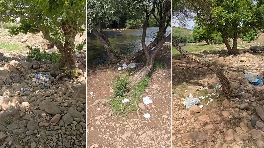 Zorava Çayı'nda Doğa Alarmı: Piknikçiler Çöplerini Geride Bırakıyor