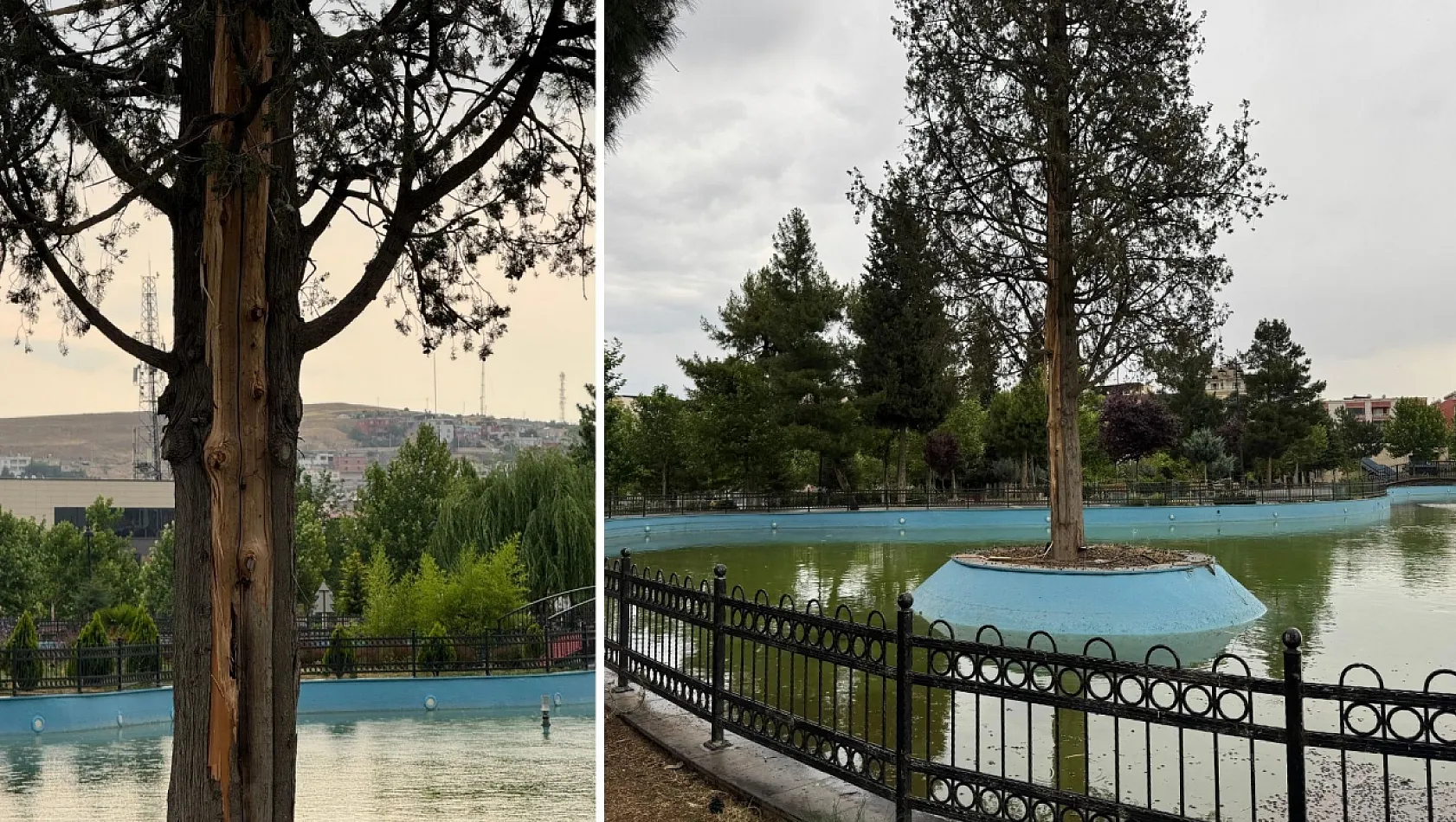 Siirt Kızlar Tepesi'nde Deprem Gibi Şimşek! Havuzdaki Ağaca İsabet Eden Yıldırım Elektrikleri Kesti