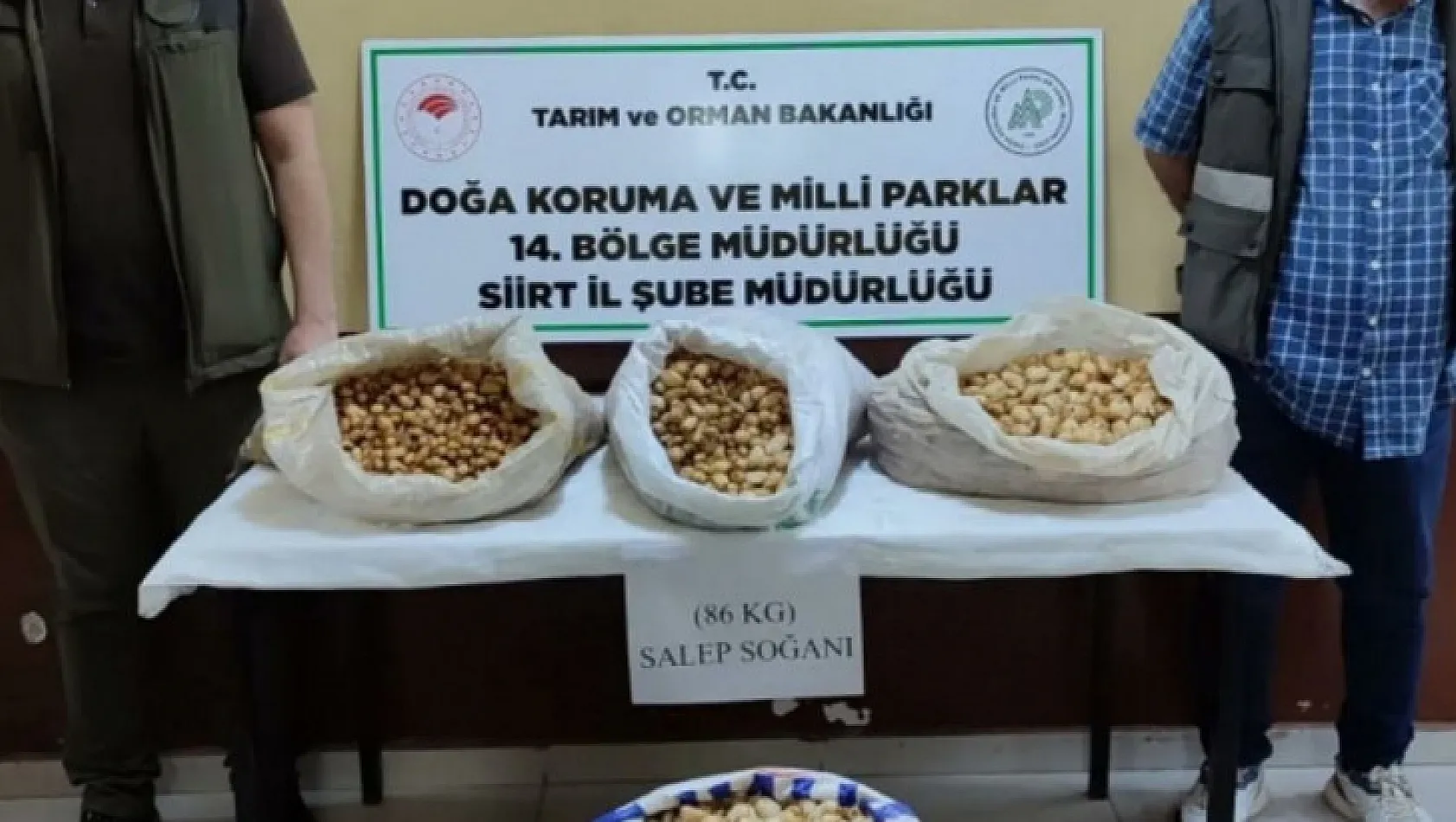 Siirt'te salep soğanı toplayan şahıslara 387 bin 141 lira ceza kesildi