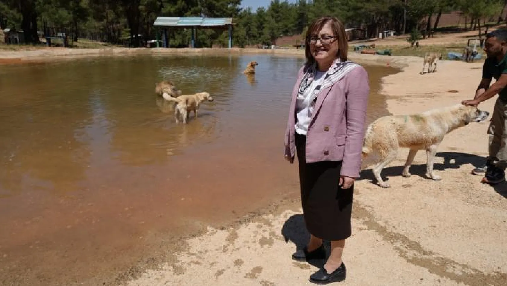 Türkiye'de gündem olan köpek sorununa Gaziantep'te örnek çözüm