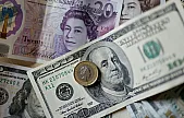 Döviz Kurları Siirt'te Yükselişte: Sterlin 53 TL'yi Geçti, Euro ve Dolar Takipte