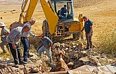 Kurtalan'da ekipler kuyuya düşen inek için seferber oldu!