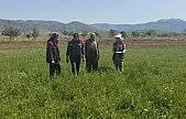 Pervari'de Yem Bitkisi Alanları İçin Sahada İnceleme Başladı