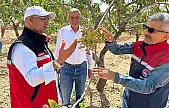 Siirt İl Tarım Müdürü Mustafa Şanverdi, Tillo'da Çiftçilerle Buluştu