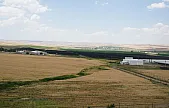 Siirt Tarımında Yeni Dönem Başlıyor! Yeni Yeşil Altın Bahçeleri Yolda!