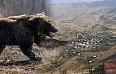 Siirt'te Ayı Saldırısına Uğrayan 53 Yaşındaki Adam Yaralandı