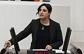 Siirt'te Binlerce Kişiye İş Vaadiyle Açılan Çinko Fabrikası Hala Kapalı! DEM Parti Siirt Milletvekili Sarıtaş, Konuyla İlgili Soru Önergesi Vererek Meclis Gündemine Taşıdı
