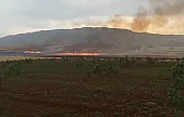 Siirt'te Buğday Tarlasında Yangın