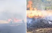 Siirt'te Çay İçin Yakılan Ateş Fıstık Bahçesini Kül Etti
