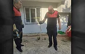 Siirt'te Evin Bahçesine Giren Yılan İtfaiye Ekiplerince Yakalandı