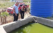 Siirt'te Havuzda Mahsur Kalan Köpek Kurtarıldı