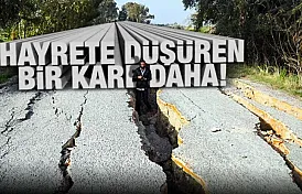 Hayrete Düşüren Kareler! Kuş cennetindeki yolun 2 kilometresi depremde yarıldı