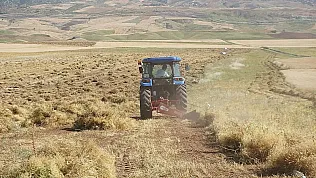 Tarım Arazilerini Ekmeden Bekleten Tapu Sahiplerine Kritik Uyarı: 45 Gün İçinde Başvurmayan Hakkını Kaybedecek