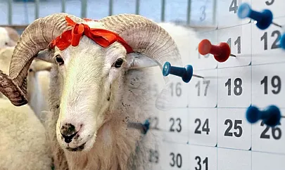 2025 Kurban Bayramı Tatili Belli Oldu! İşte Tatil Olan Günler