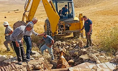 Kurtalan'da ekipler kuyuya düşen inek için seferber oldu!