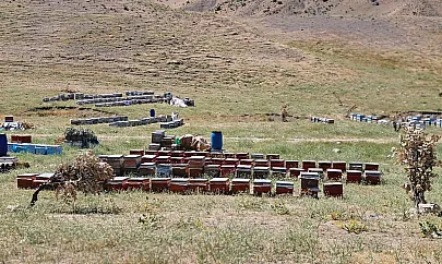 Pervari Balı, Türkiye'nin Sınırlarını Aşarak Dünya Markası Olacak
