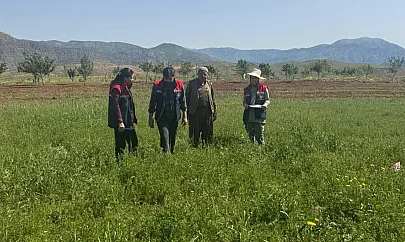 Pervari'de Yem Bitkisi Alanları İçin Sahada İnceleme Başladı