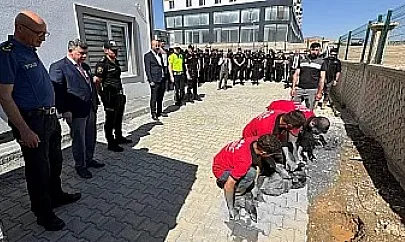 Siirt Emniyet Müdürlüğü'nde Kurban Kesimiyle Birlik ve Güvenlik İçin Dua Edildi