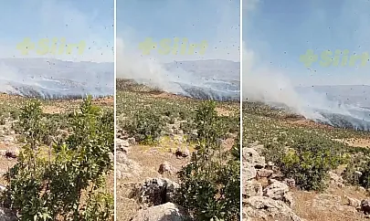 Siirt Eruh'ta Örtü Yangını: Vatandaşlar Kendi İmkânlarıyla Müdahale Ediyor