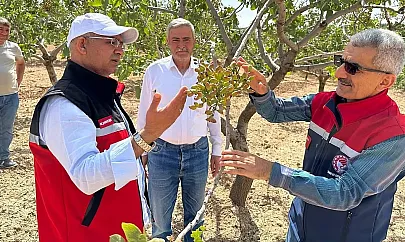Siirt İl Tarım Müdürü Mustafa Şanverdi, Tillo'da Çiftçilerle Buluştu