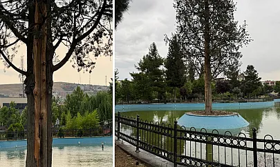 Siirt Kızlar Tepesi'nde Deprem Gibi Şimşek! Havuzdaki Ağaca İsabet Eden Yıldırım Elektrikleri Kesti