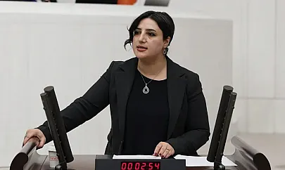 Siirt'te Binlerce Kişiye İş Vaadiyle Açılan Çinko Fabrikası Hala Kapalı! DEM Parti Siirt Milletvekili Sarıtaş, Konuyla İlgili Soru Önergesi Vererek Meclis Gündemine Taşıdı